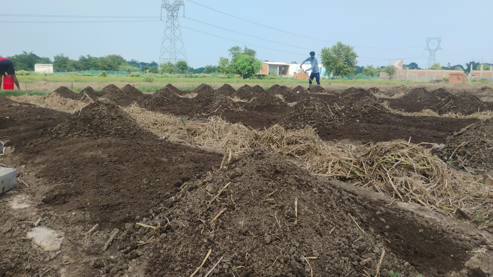 Workers preparing vermicompost beds at Vasudha facility
